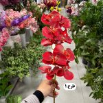 شاخه ارکیده - تصویر 2