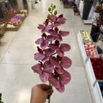شاخه ارکیده 9 گل لمسی