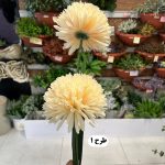 شاخه داوودی 2 گل - تصویر 2