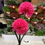 شاخه داوودی 2 گل - تصویر 3