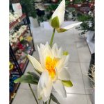شاخه مرداب - تصویر 3