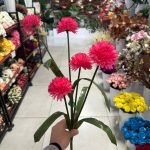 شاخه داوودی 5 گل - تصویر 3