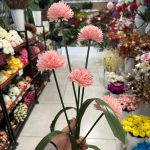 شاخه داوودی 5 گل - تصویر 4