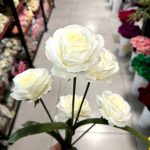 شاخه رز هلندی درشت 5 گل