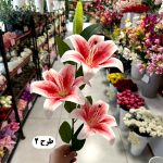 شاخه اوریانتال سه گل لمسی - تصویر 4