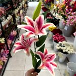 شاخه اوریانتال سه گل لمسی