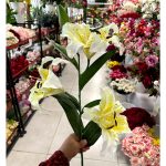 شاخه لیلیوم سه گل و دو غنچه