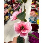 شاخه مگنولیا