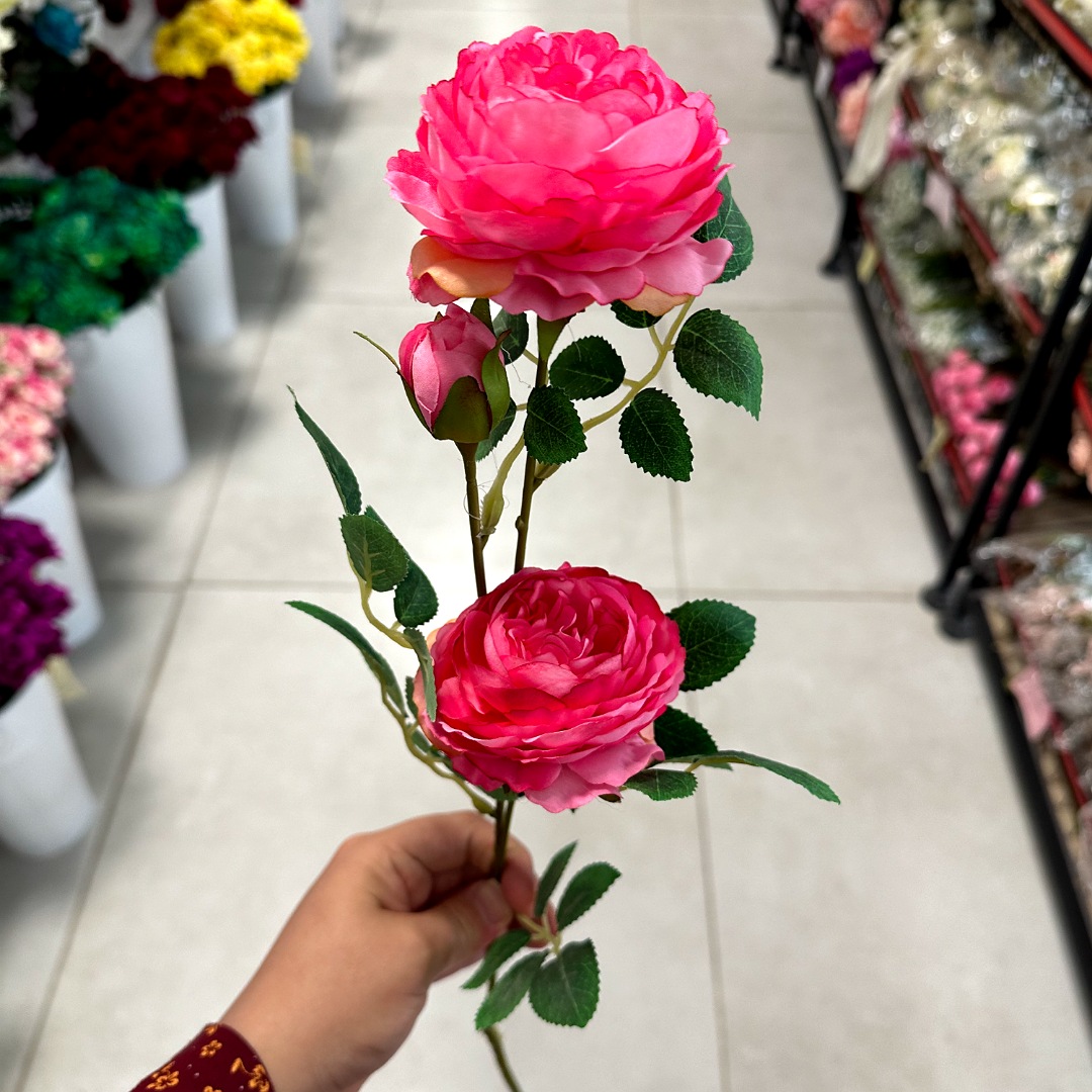 IMG_20250909_100527_(1080_x_1080_pixel) شاخه پیونی - تصویر 1