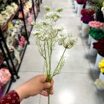 شاخه یاس گردی - تصویر 4