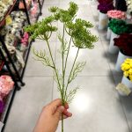 شاخه یاس گردی - تصویر 3
