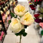 شاخه رز پیونی - تصویر 2