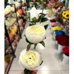 شاخه پیونی 3 گل - تصویر 2