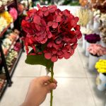 شاخه ارتانزیا - تصویر 2