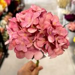 شاخه ارتانزیا - تصویر 3