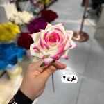 شاخه رز - تصویر 3