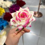 شاخه رز