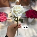 شاخه رز - تصویر 2