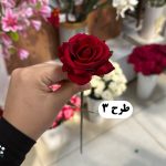 شاخه رز - تصویر 4