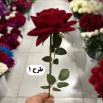 شاخه رز مخمل - تصویر 2