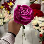 شاخه رز