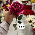 شاخه رز - تصویر 4