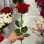 شاخه رز باکارا - تصویر 2
