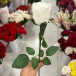 شاخه رز باکارا - تصویر 3
