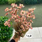 بوته مینا عروسکی - تصویر 2