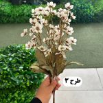 بوته مینا عروسکی - تصویر 4