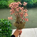 بوته مینا عروسکی
