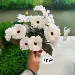 بوته مارگاریت - تصویر 2