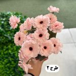بوته مارگاریت - تصویر 4