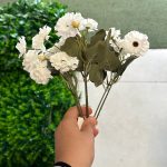 بوته مارگاریت