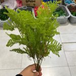بوته شویدی دو رنگ - تصویر 3