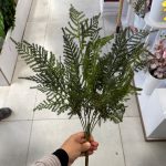بوته شویدی دو رنگ