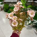 بوته مینا