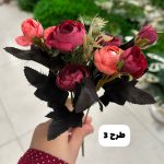 بوته نسترن - تصویر 3
