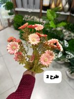 بوته مینا - تصویر 3
