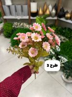 بوته مینا - تصویر 4